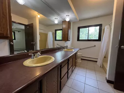 2020 Curtis, Adrian, MI 49221 photo 22