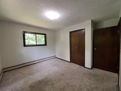 2020 Curtis, Adrian, MI 49221 photo 18