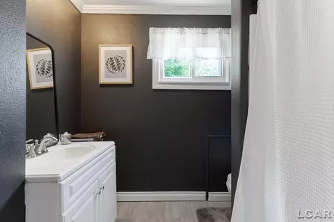 204 Elm, Brooklyn, MI 49230 photo 28