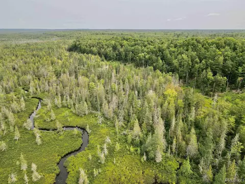 Tbd Rapid River Truck Trail, Chatham, MI 49816