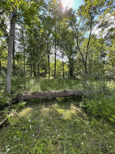 Rattle Run, Saint Clair, MI 48079 photo 8