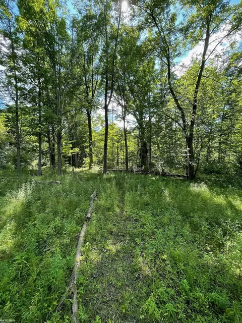 Rattle Run, Saint Clair, MI 48079 photo 5