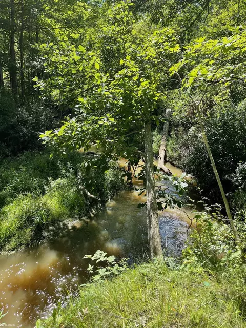 Rattle Run, Saint Clair, MI 48079 photo 6