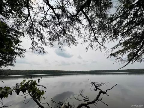 Tbd Wildwood Lake, Iron River, MI 49935