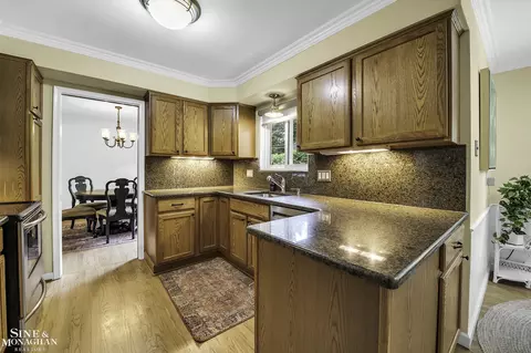 489 Saddle, Grosse Pointe Woods, MI 48236 photo 10