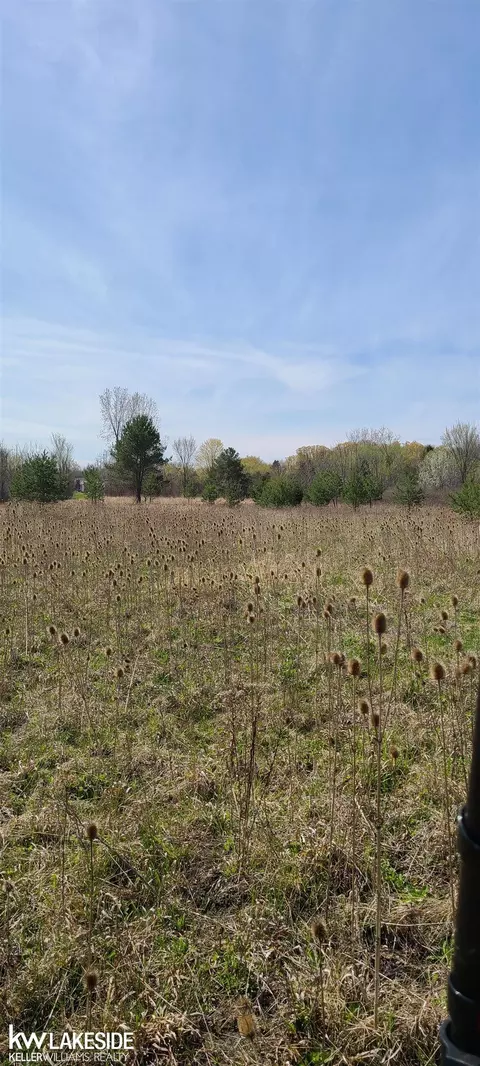 63794 Indian, Ray Twp, MI 48096 photo 3