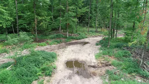 Tbd Camp 23, Germfask, MI 49836 photo 5