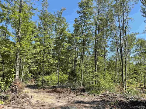 Tbd Camp 23, Germfask, MI 49836 photo 3