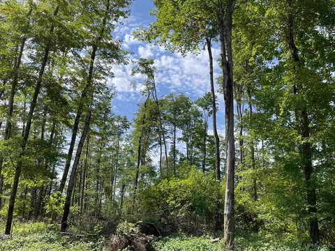Tbd Camp 23, Germfask, MI 49836