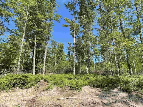 Tbd Camp 23, Germfask, MI 49836 photo 9