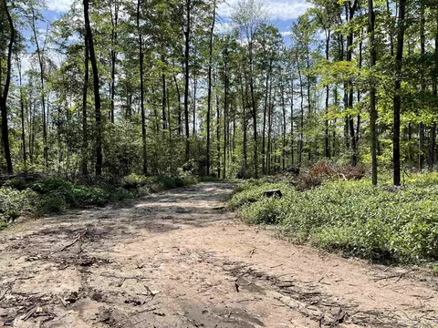 Tbd Camp 23, Germfask, MI 49836 photo 10
