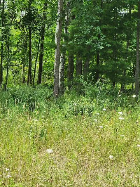 3412 Old Orch #PARCEL A, Lexington, MI 48450