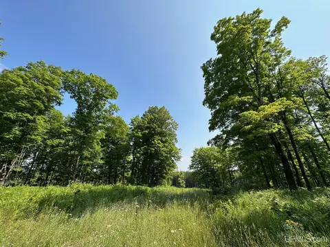 Off Co Rd 426, Felch, MI 49831 photo 6