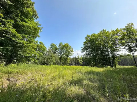 Off Co Rd 426, Felch, MI 49831 photo 3