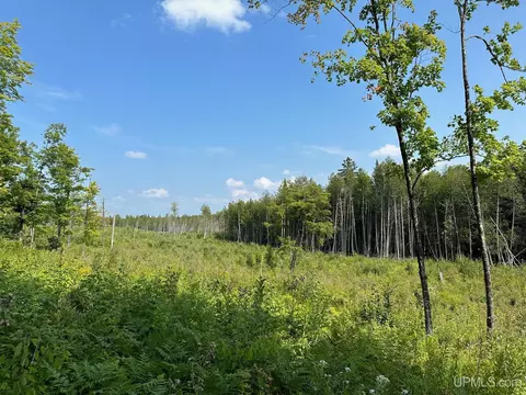 Off Co Rd 426, Felch, MI 49831 photo 4