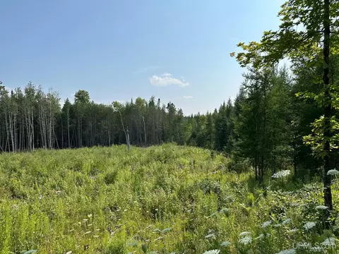Off Co Rd 426, Felch, MI 49831 photo 7