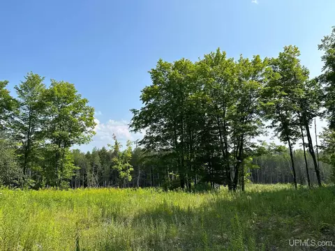 Off Co Rd 426, Felch, MI 49831 photo 2