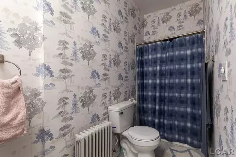 1265 W Maple, Adrian, MI 49221 photo 22