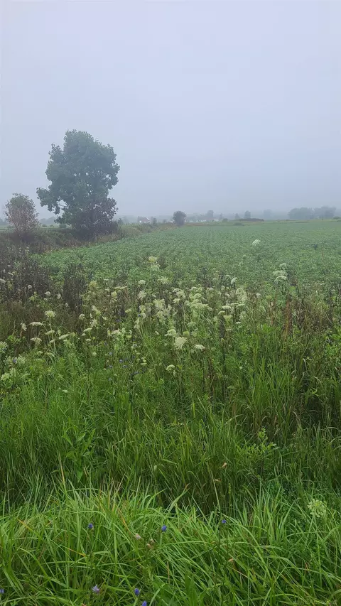 Tbd Marlette, Applegate, MI 48401