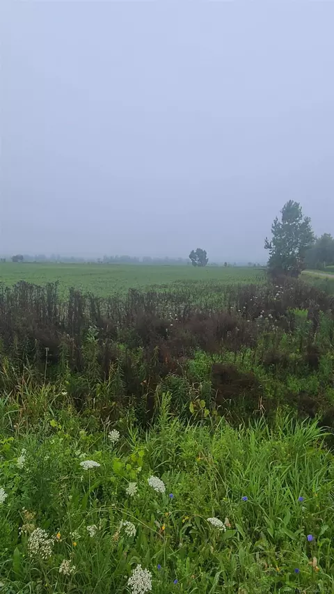 Tbd Marlette, Applegate, MI 48401 photo 2