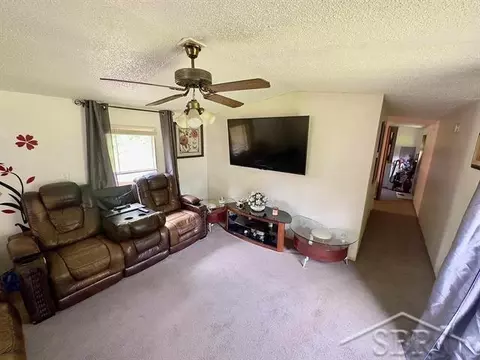 1633 S Dickenson, Shepherd, MI 48883 photo 10