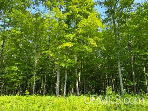 77 61 Acres Birch Hl, Amberg T-wi, WI 54102