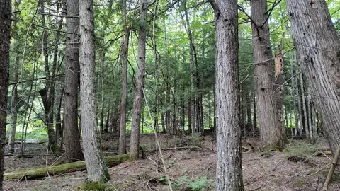 Tbd Green, Nisula, MI 49952