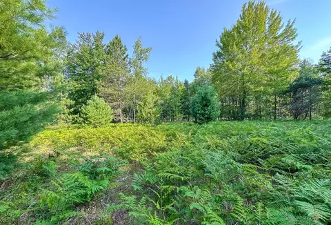 1325 N Coleman, Shepherd, MI 48883