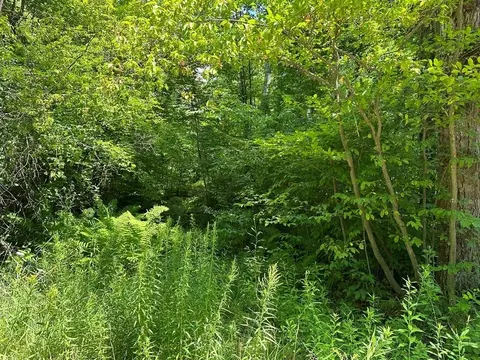 5 Acres N Harrison, Harrison, MI 48625