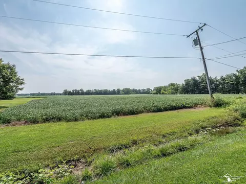 0000 Steffas, Maybee, MI 48159 photo 10