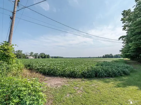 0000 Steffas, Maybee, MI 48159 photo 5
