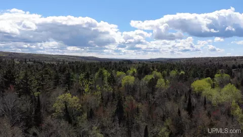 19027 Collins, L'anse, MI 49946 photo 41
