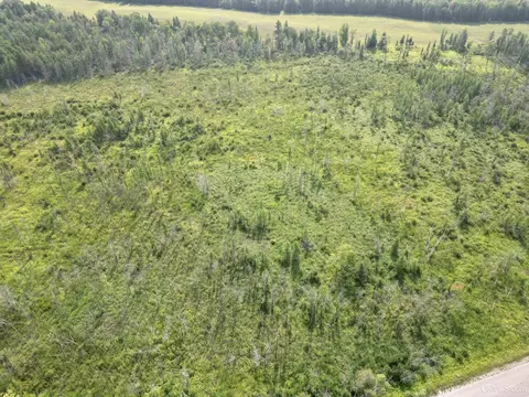 tbd Co Rd 400, Spalding, MI 49886