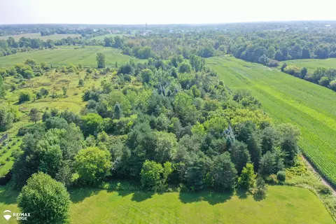 4308 N Gale, Davison, MI 48423 photo 39