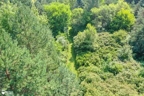 4308 N Gale, Davison, MI 48423 photo 42