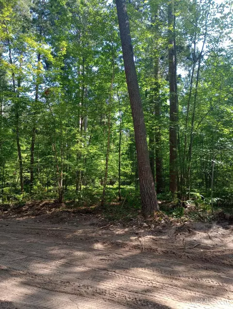 tbd White Pne, Marquette, MI 49855