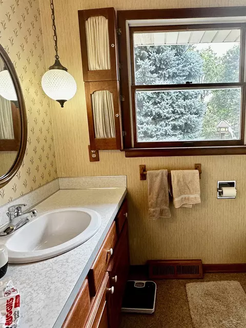 327 Nickless, Frankenmuth, MI 48734 photo 15