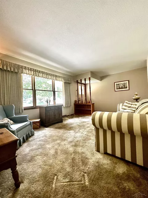 327 Nickless, Frankenmuth, MI 48734 photo 4