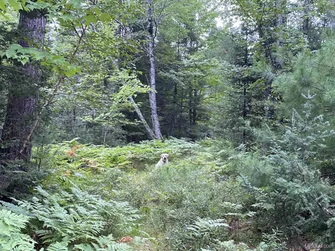 Tanglefoot Lake Co Rd Ccf, Ishpeming, MI 49849 photo 7