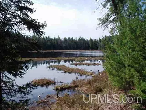 Tanglefoot Lake Co Rd Ccf, Ishpeming, MI 49849 photo 2