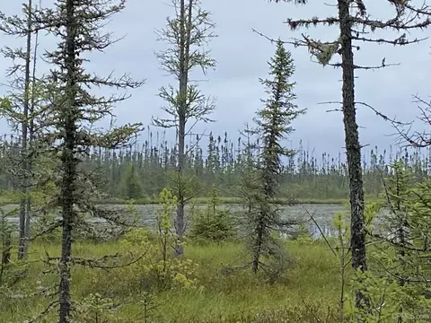 Tanglefoot Lake Co Rd Ccf, Ishpeming, MI 49849 photo 8