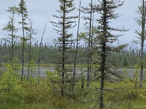 Tanglefoot Lake Co Rd Ccf, Ishpeming, MI 49849 photo 6