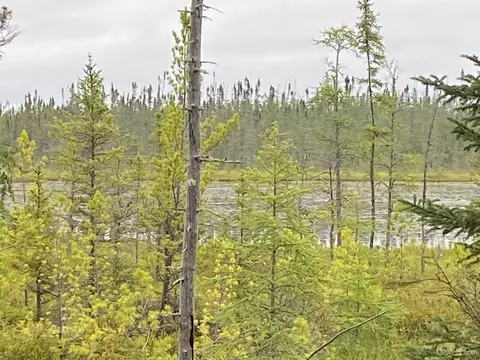 Tanglefoot Lake Co Rd Ccf, Ishpeming, MI 49849 photo 4
