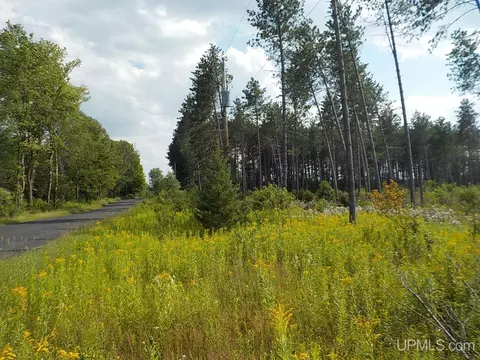 20 Ac Phelan, Crystal Falls, MI 49920