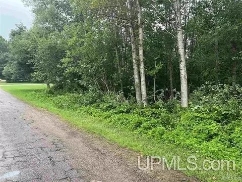 130 S Steel, Ishpeming, MI 49849