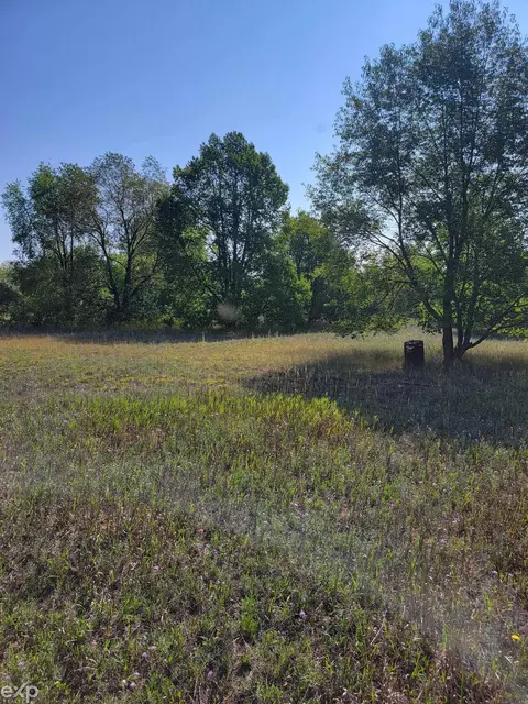 7955 Elm, Thompsonville, MI 49683