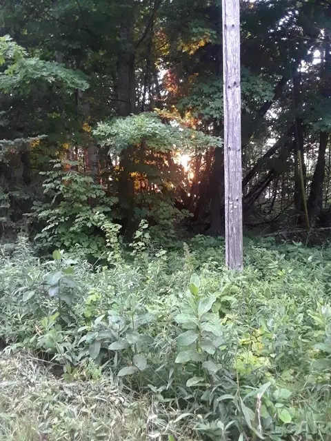 426, Beaver Island, MI 49782