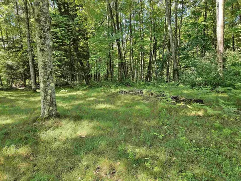 8335 Tedrow, Marion, MI 49665 photo 16