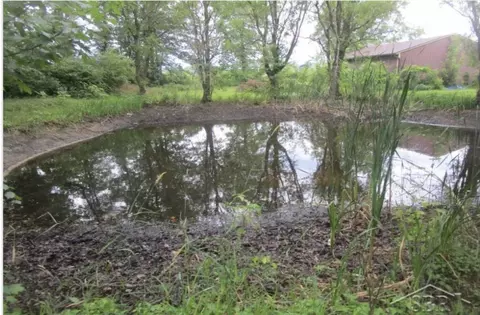 1244 E Newburg, Carleton, MI 48117 photo 34