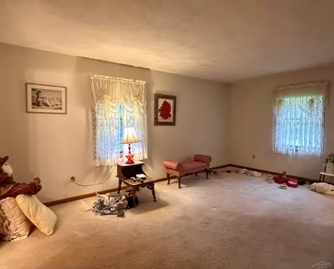 1244 E Newburg, Carleton, MI 48117 photo 10